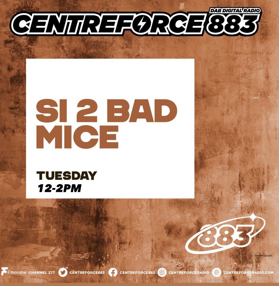 Si 2 Bad Mice