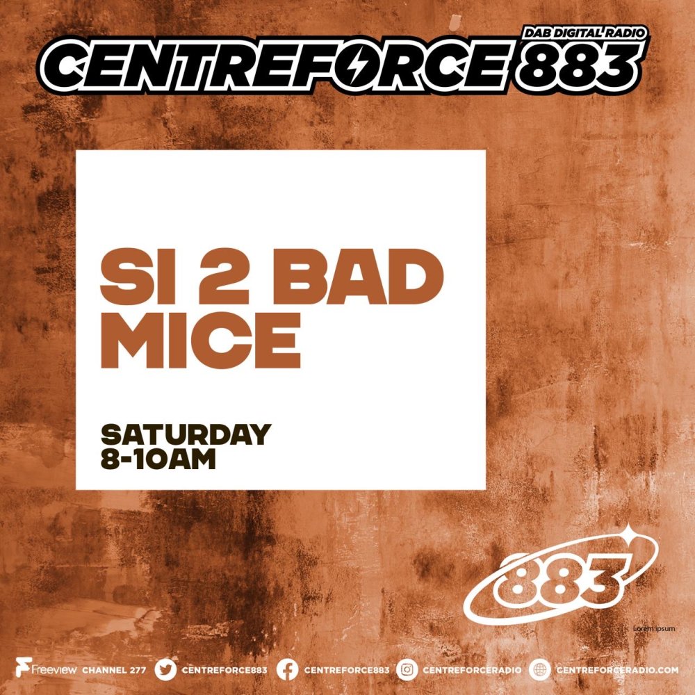 Si 2 Bad Mice
